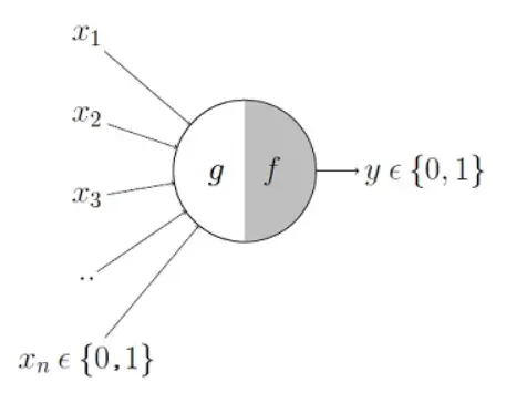 Old Perceptron Model with no Weights and Bias